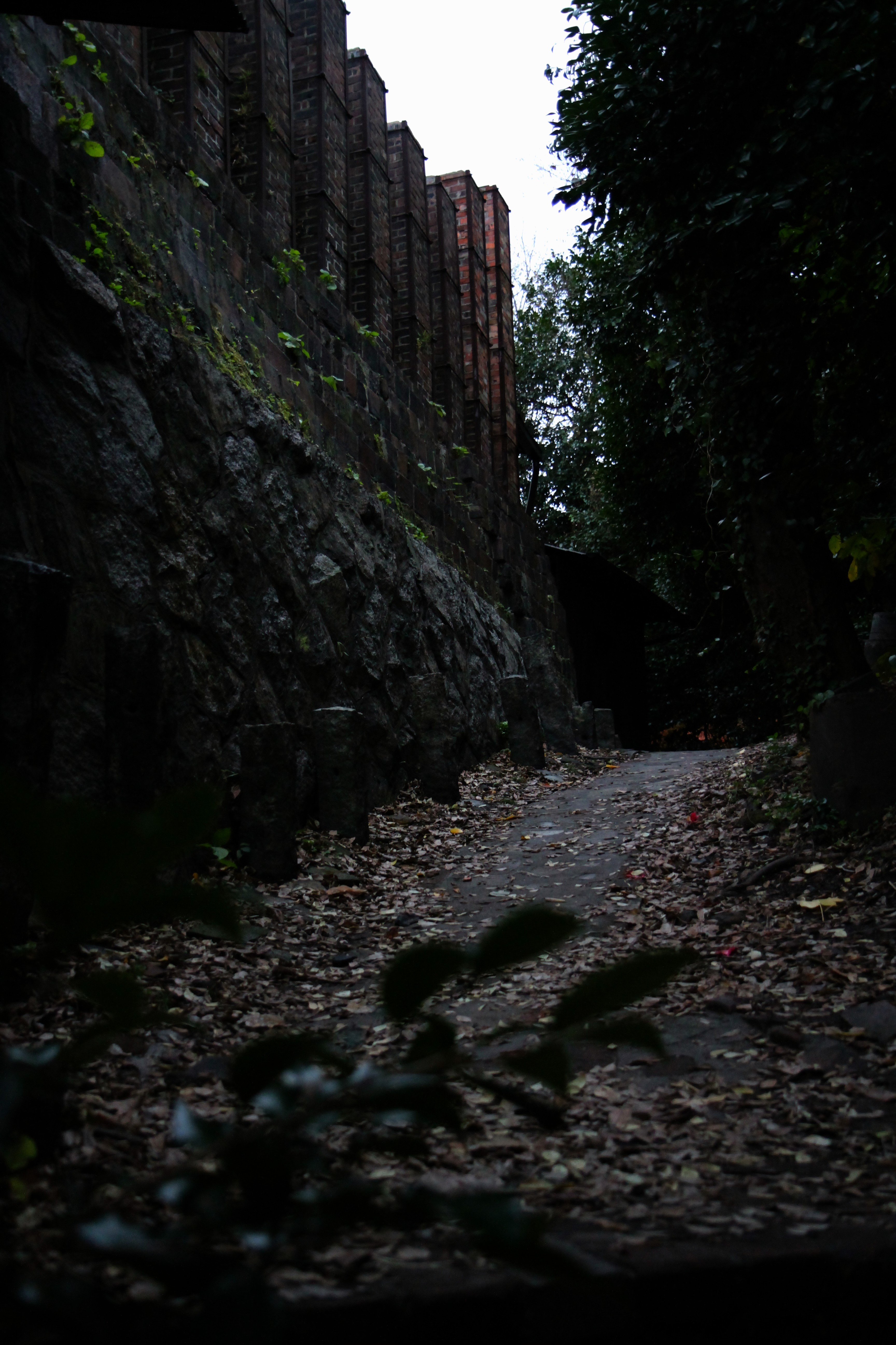 Chimneys of a climbing kiln beside a sloping path in Sakaemachi, Tokoname