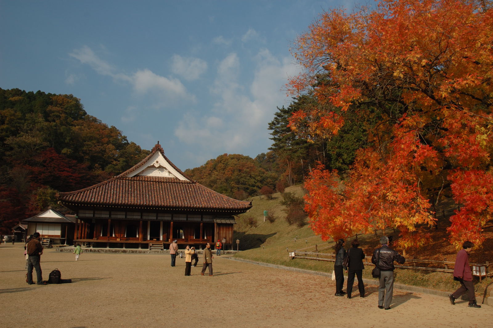 The National Treasure lecture hall of Shizutani School beside an autumn Chinese pistache tree